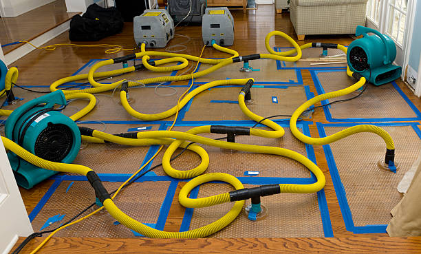 Professional Burst Pipe Water Damage technician working in Whitehall, MI
